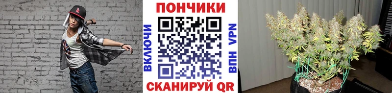 ГАШ Мураши