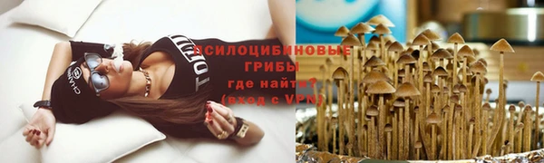 спиды Алексеевка