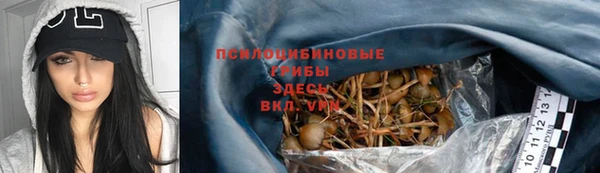 соль ск Алексин