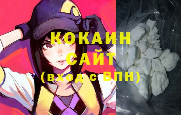 соль ск Алексин
