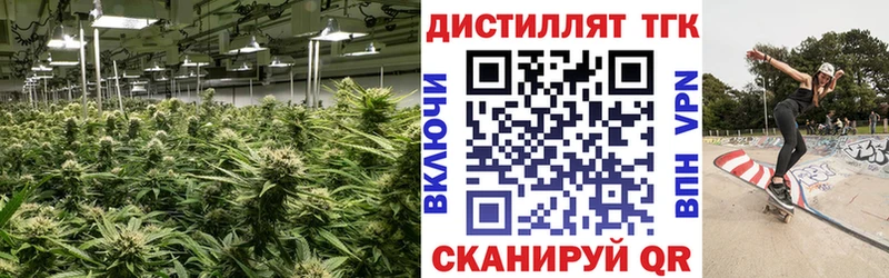 hydra ССЫЛКА  Мураши  Дистиллят ТГК вейп с тгк  хочу  