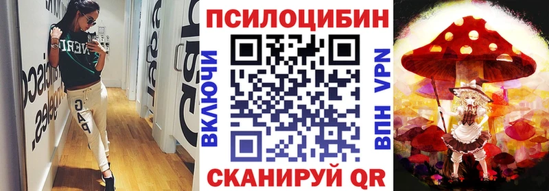 цена наркотик  Мураши  Псилоцибиновые грибы Psilocybe 