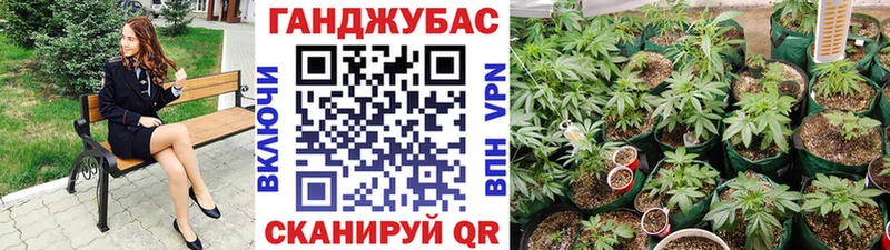 Канабис семена Мураши